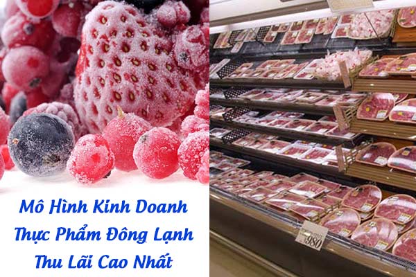 Mô hình kinh doanh thực phẩm đông lạnh Lãi Cao ít ai biết