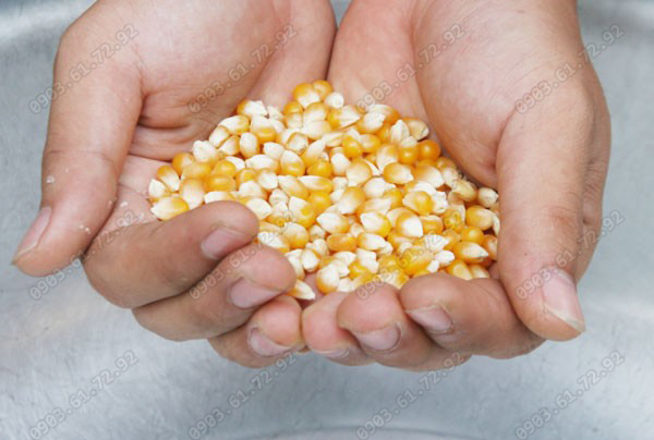 bắp hạt d&ugrave;ng l&agrave;m bắp nổ rang bơ t&uacute;i 1kg