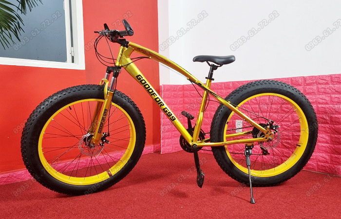 xe đạp thể thao b&aacute;nh to G99