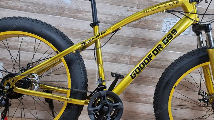 xe đạp thể thao b&aacute;nh to G99