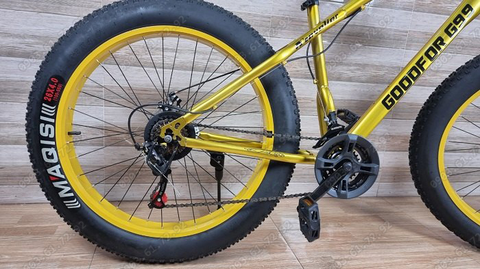 xe đạp thể thao b&aacute;nh to G99