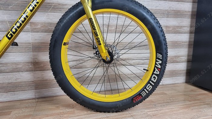 xe đạp thể thao b&aacute;nh to G99